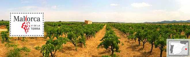 Vino de la Terra de Mallorca - îles Baléares- Espagne