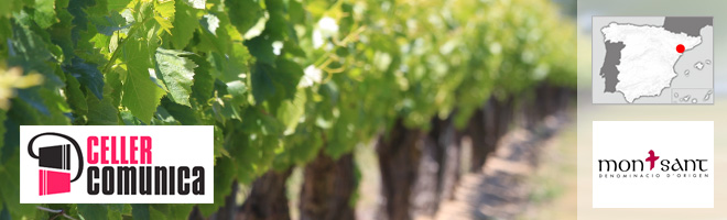 Domaine Celler Comunica, Montsant - Espagne