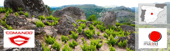 Domaine Comando G, Vinos de Madrid - Espagne