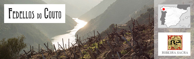 Bodegas Vizcarra - Ribera del Duero