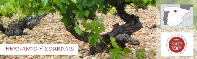 Domaine Hernando y Sourdais, Ribera del Duero - Espagne