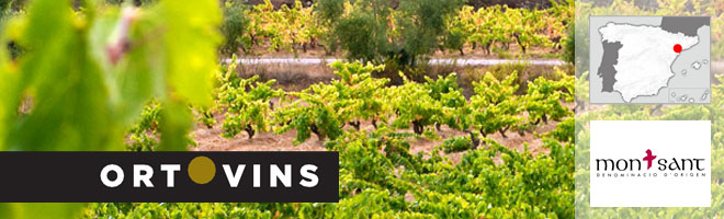 Domaine Orto Vins, Montsant - Espagne