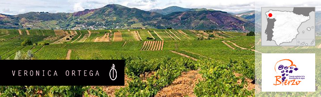 Domaine Veronica Ortega, Bierzo - Espagne