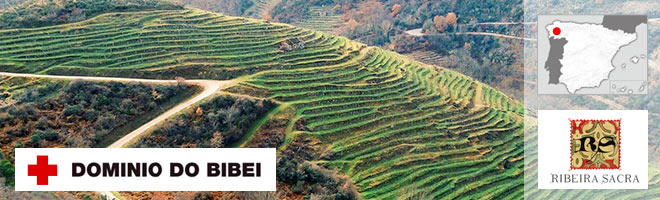 Dominio do Bibei - Ribeira Sacra