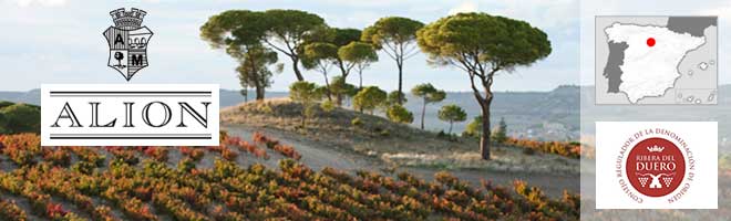 Domaine Alion Vega Sicilia - Espagne