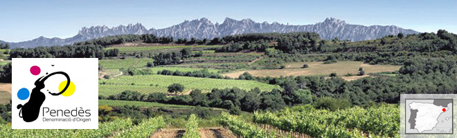 Région du Penedes - Catalogne