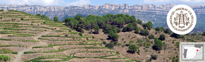 Appellation Priorat D.O.C. Catalogne - Espagne