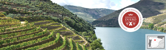 Région Ribera del Duero