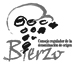 vins espagnols de la D.O. Bierzo